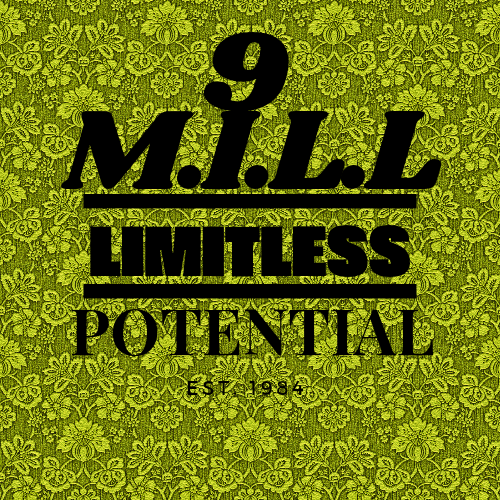 About the  campaign on Bonfire 3