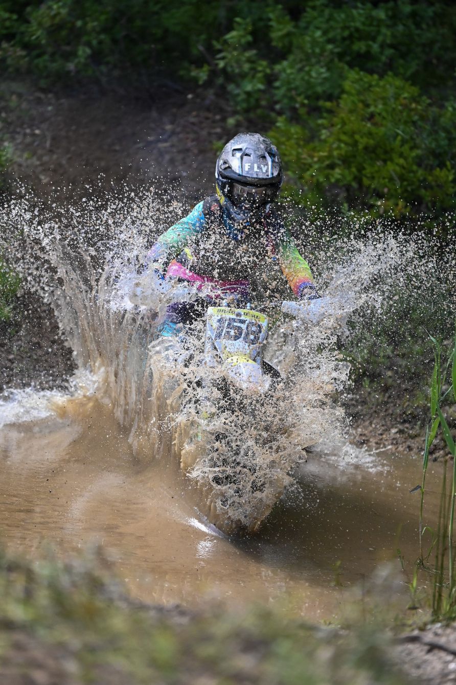 About the  campaign on Bonfire 6