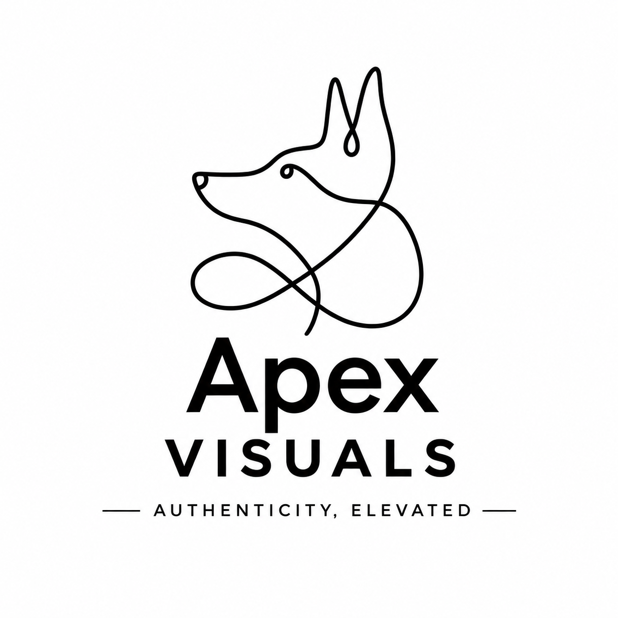 About the Apex Visuals Merch campaign on Bonfire 2