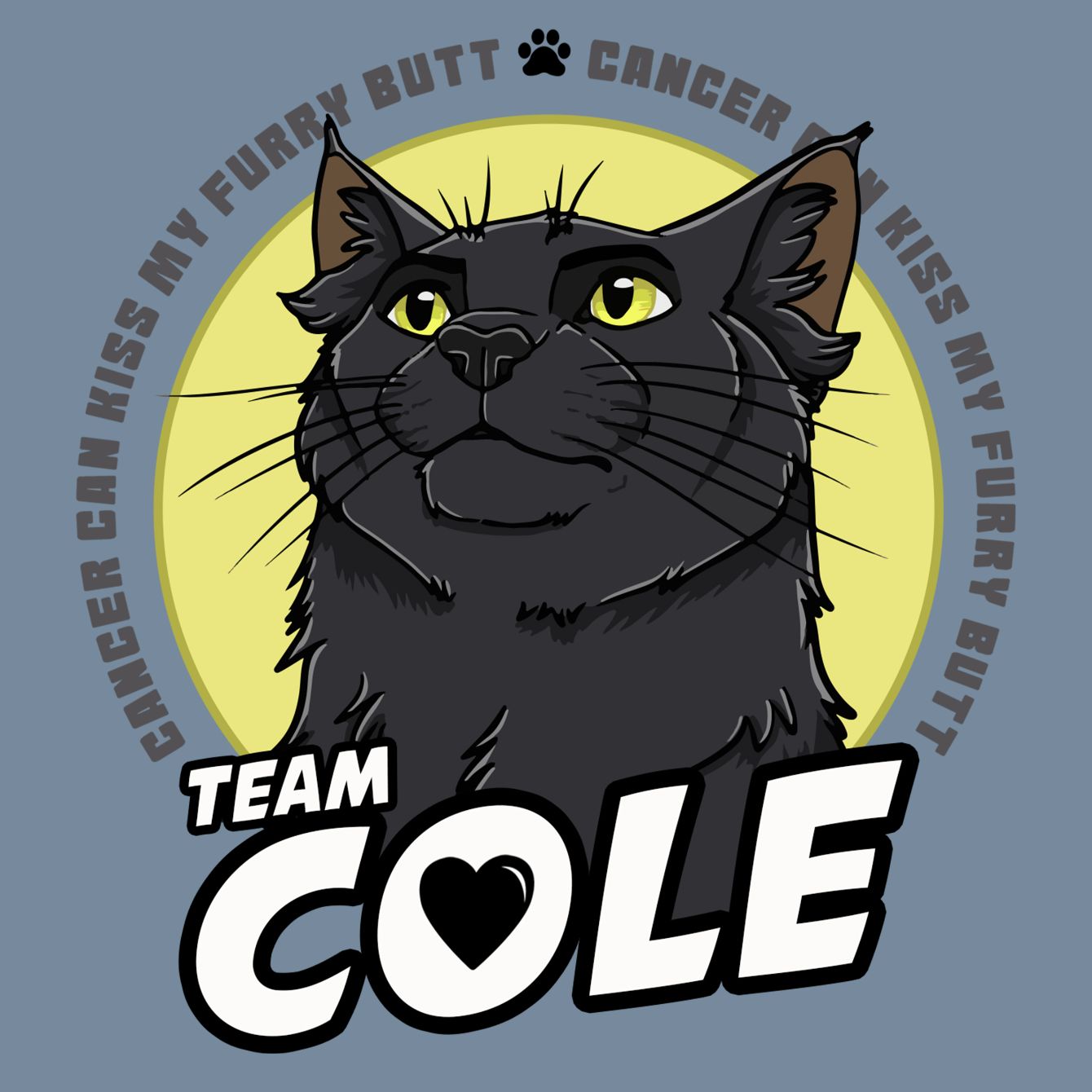 About the TEAM COLE campaign on Bonfire 2