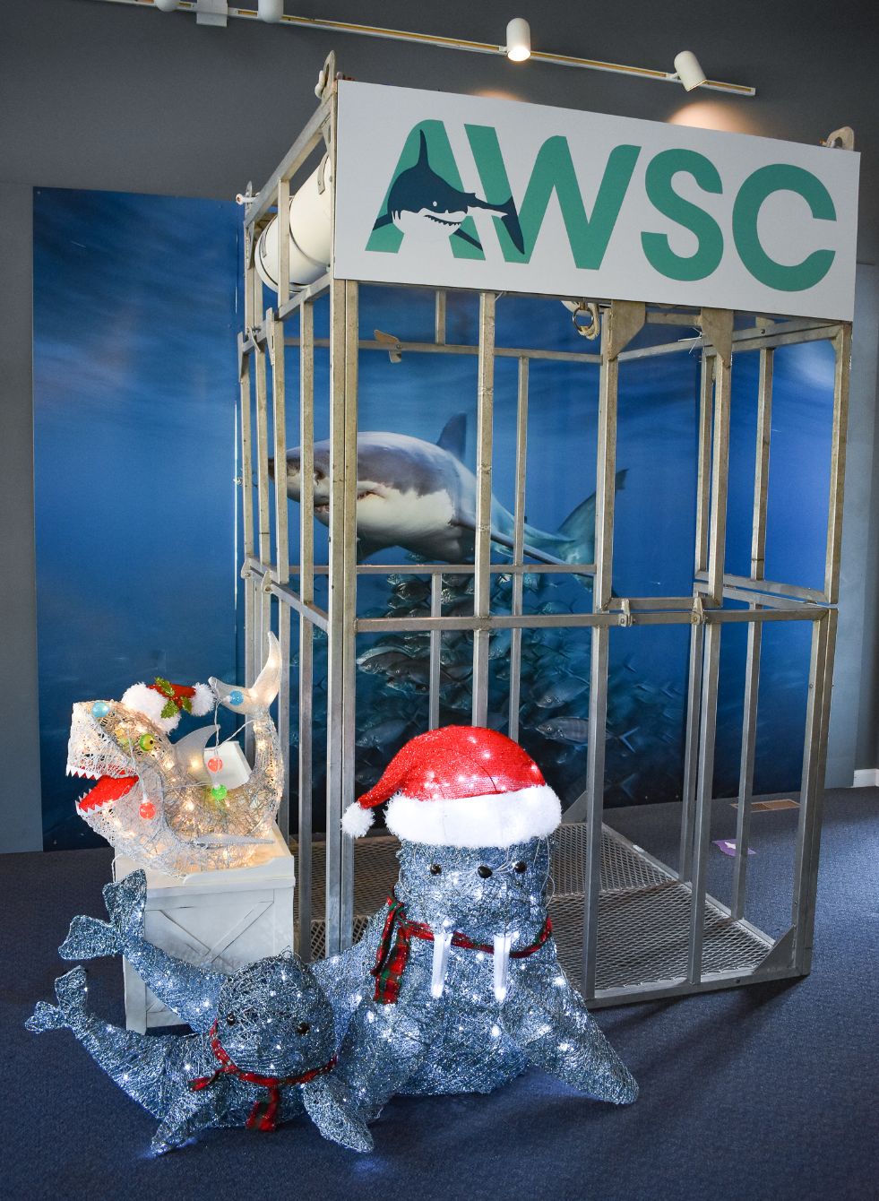 About the AWSC Holiday Gear 2020 campaign on Bonfire 2