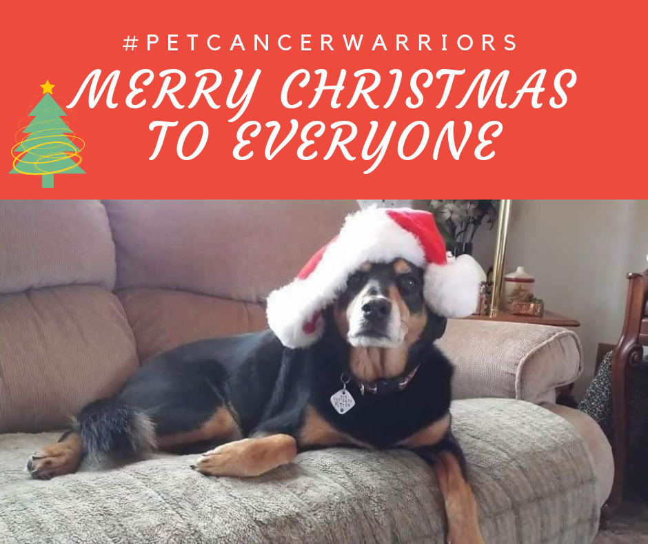 About the Paws4Potter "Howliday" Campaign campaign on Bonfire 2