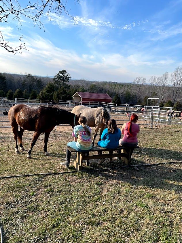 About the  campaign on Bonfire 2