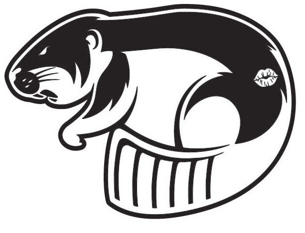 About the No Wimps Allowed campaign on Bonfire 2