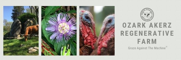 About the Graze Against The Machine Regenerative Farm campaign on Bonfire 1