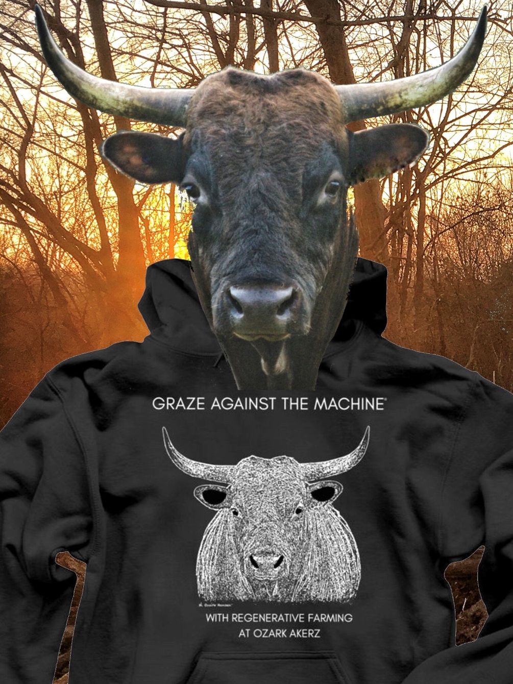 About the Graze Against The Machine Regenerative Farm campaign on Bonfire 0