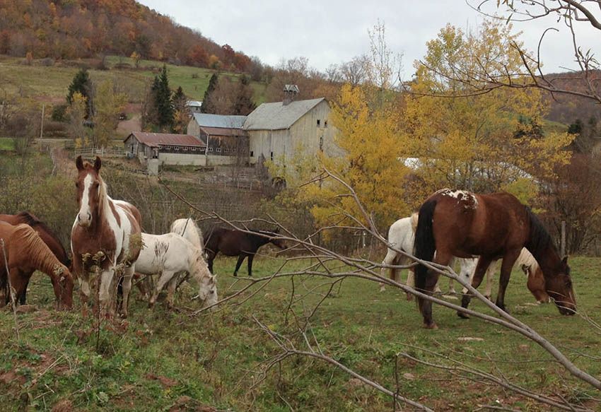 About the Kindness Matters campaign on Bonfire 2