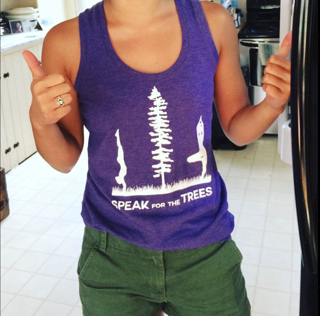 About the  campaign on Bonfire 2