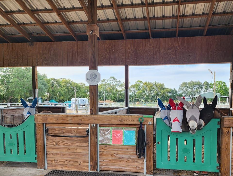 About the Hope Equine Rescue Enrichment Fundraiser campaign on Bonfire 2