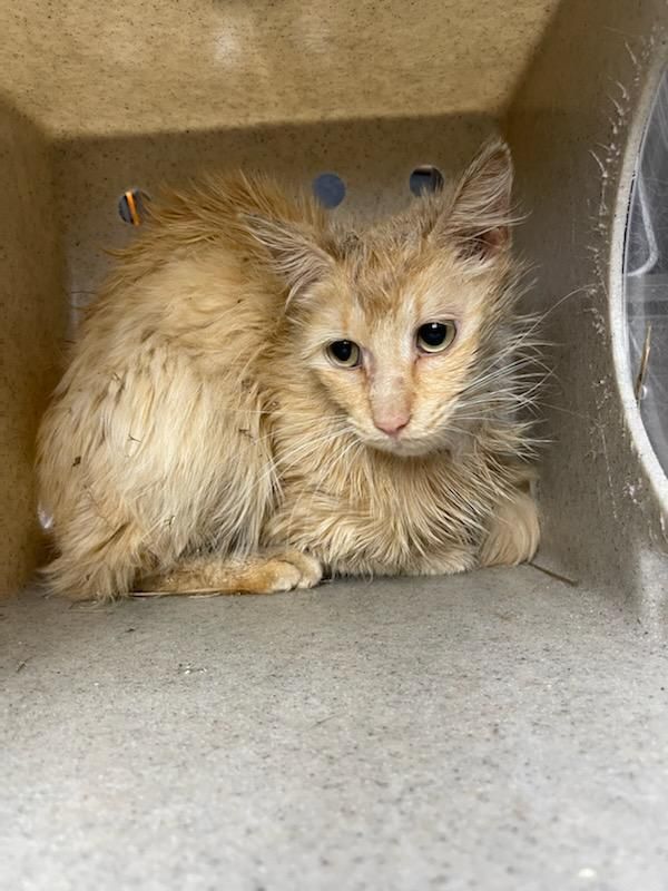 About the Saving Lives for Over 15 Years! campaign on Bonfire 2