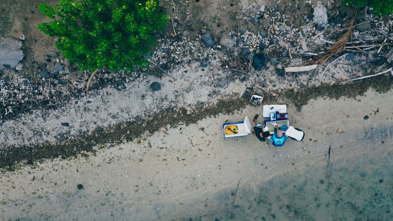 About the Science for sharks, resilience for reefs campaign on Bonfire 3