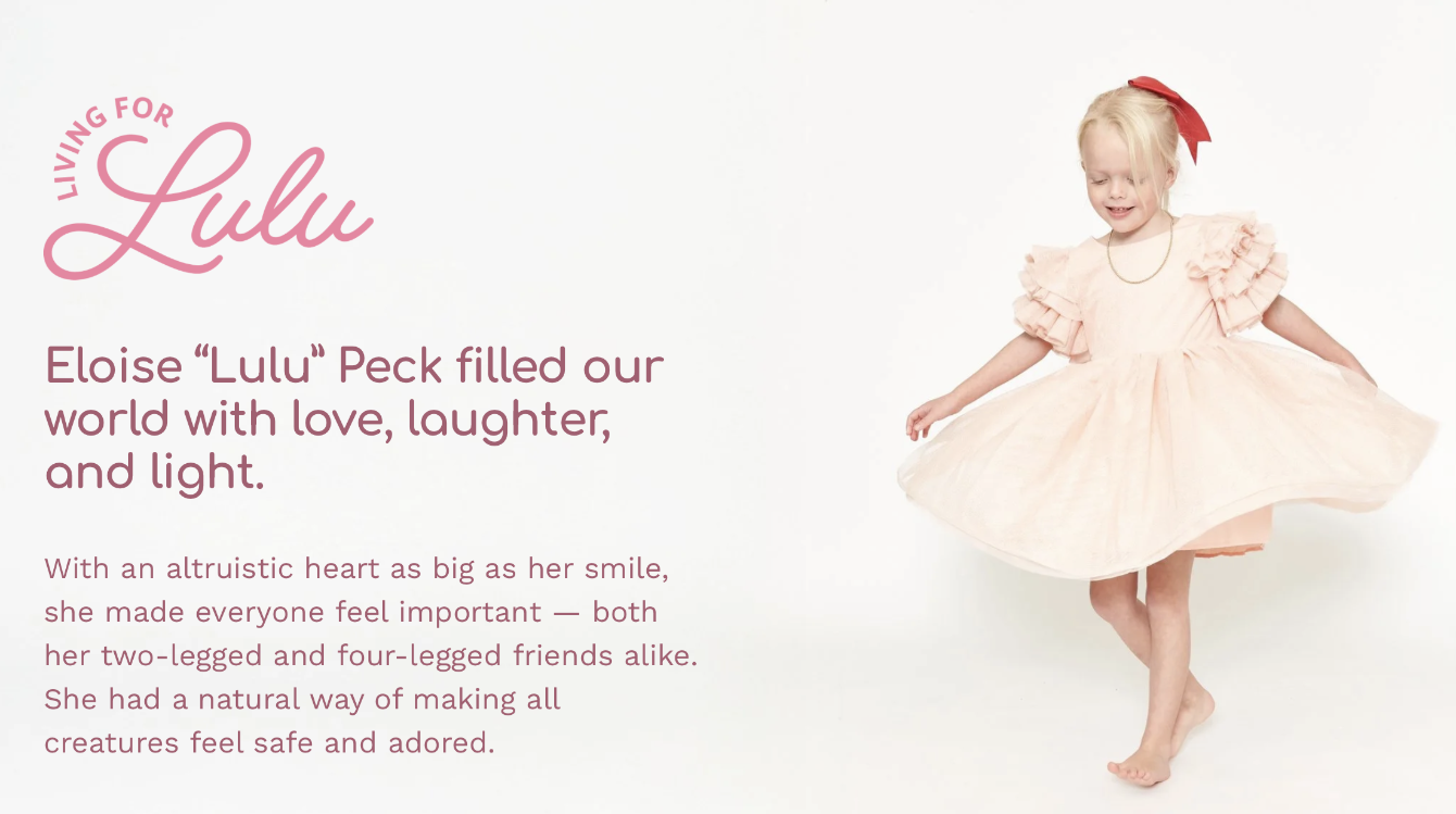 About the Living for Lulu Merchandise campaign on Bonfire 2