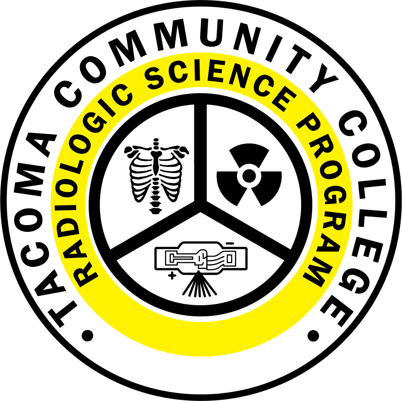 About the  campaign on Bonfire 2