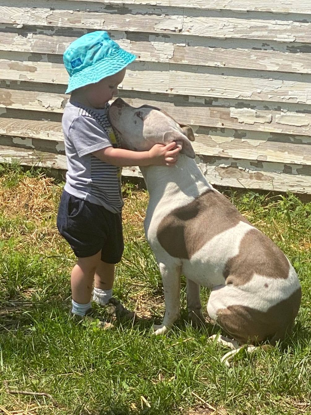 About the Risen From the Ashes - Stay Strong campaign on Bonfire 9