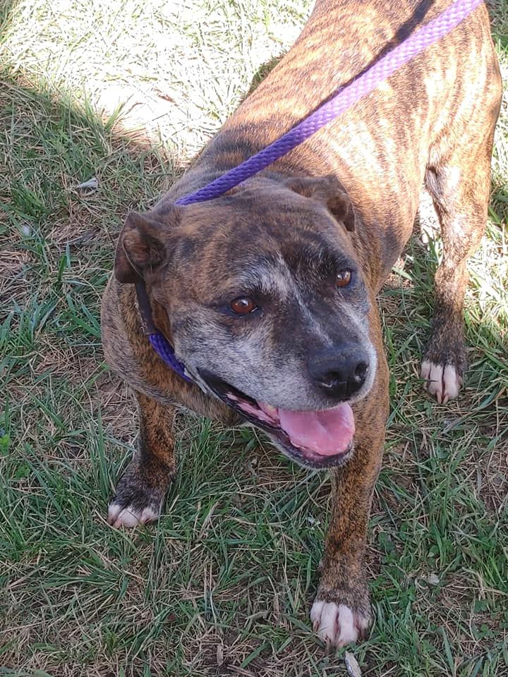 About the Risen From the Ashes - Stay Strong campaign on Bonfire 6