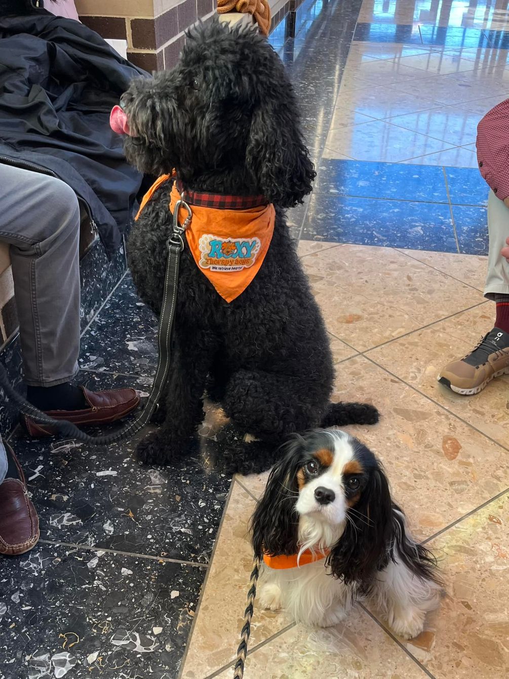 About the Anniversary Notebook campaign on Bonfire 2