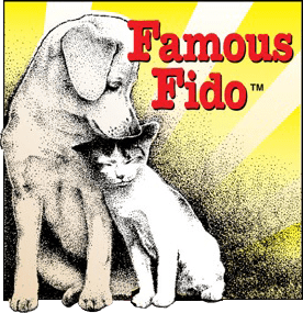 About the Famous Fido Volunteers campaign on Bonfire 2