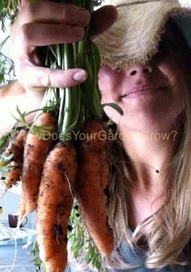 About the  campaign on Bonfire 2