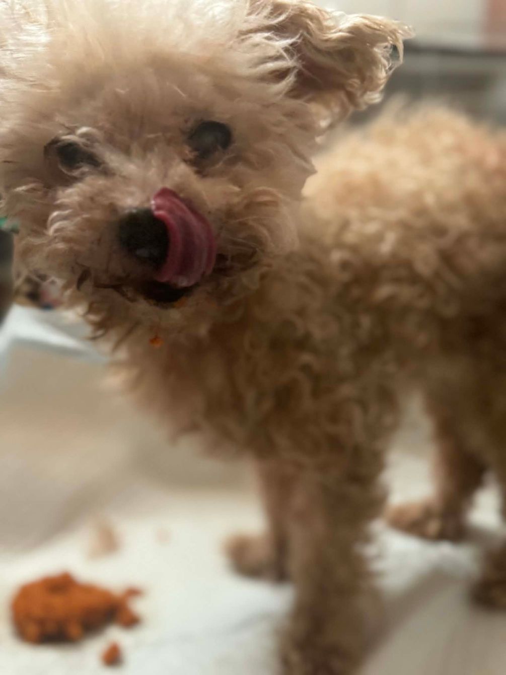 About the You're Never Too Old for the Tooth Fairy campaign on Bonfire 3