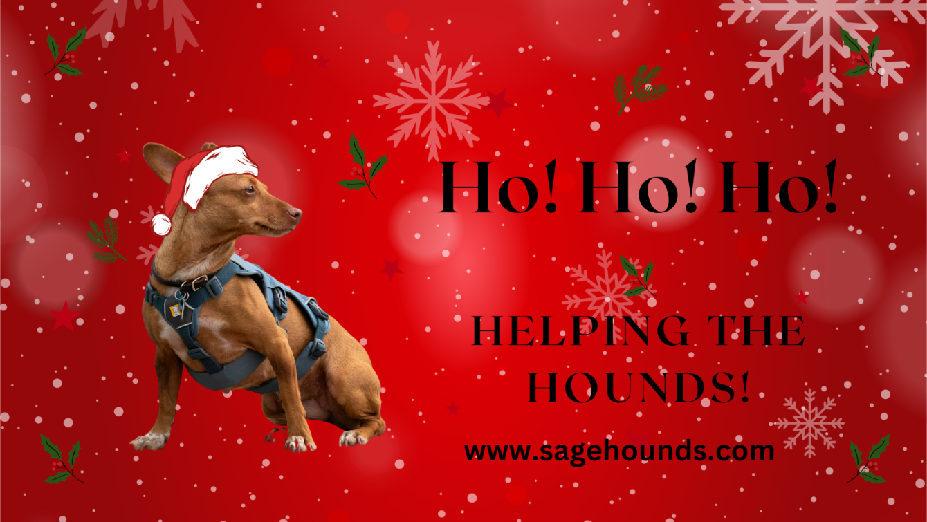 About the Oh Dear! campaign on Bonfire 2