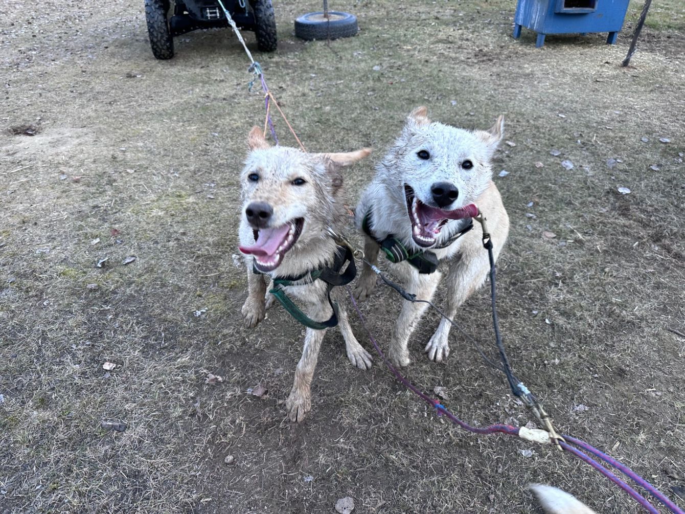 About the Salty & Sassy campaign on Bonfire 2