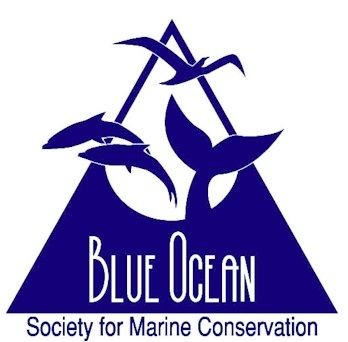 About the Keep the Ocean Clean campaign on Bonfire 2