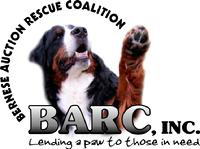 About the Multi-Color BMD Design by MyMuzeArt for BARC campaign on Bonfire 0