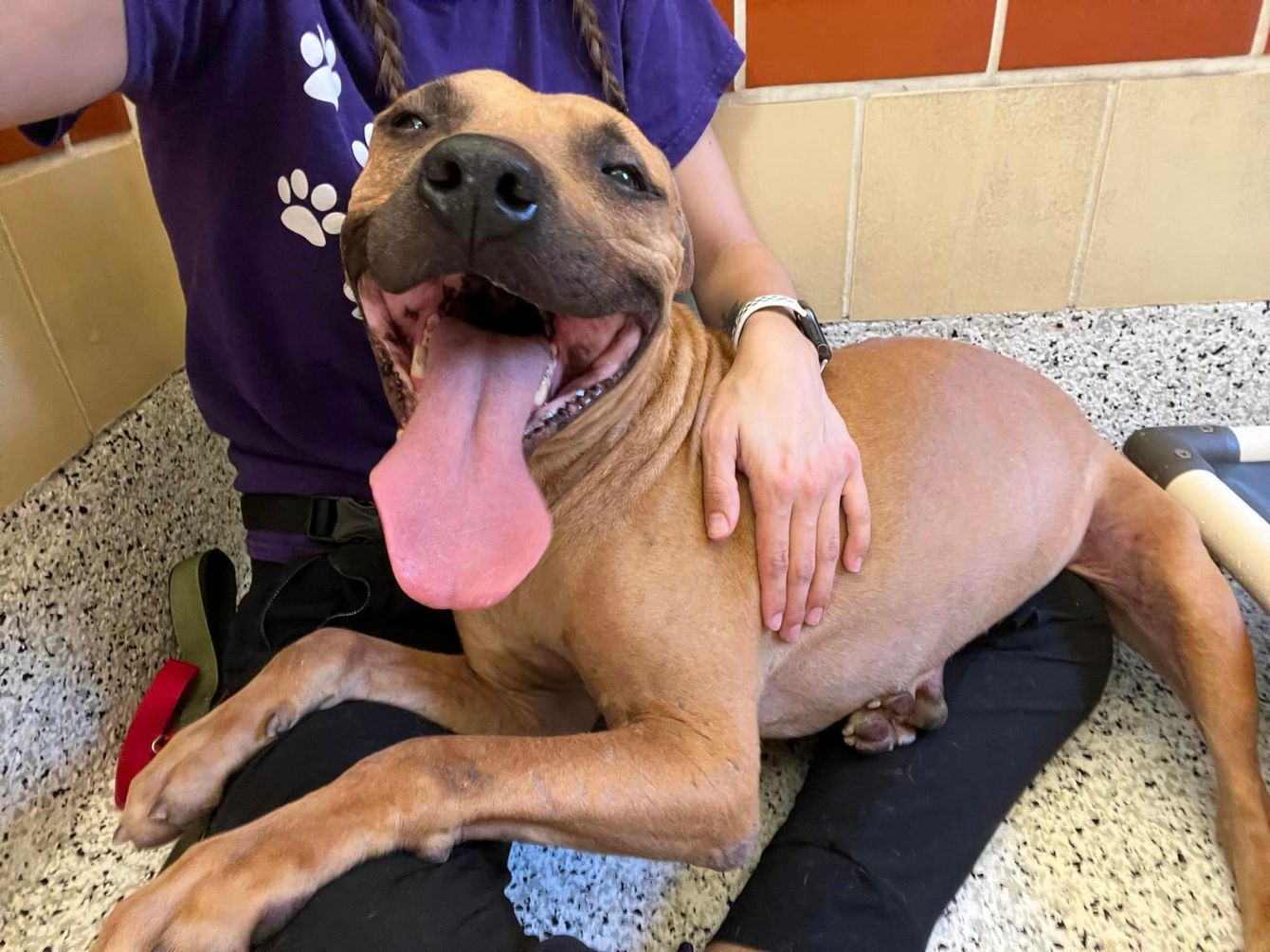 About the Trouble Never Looked So Cute campaign on Bonfire 5