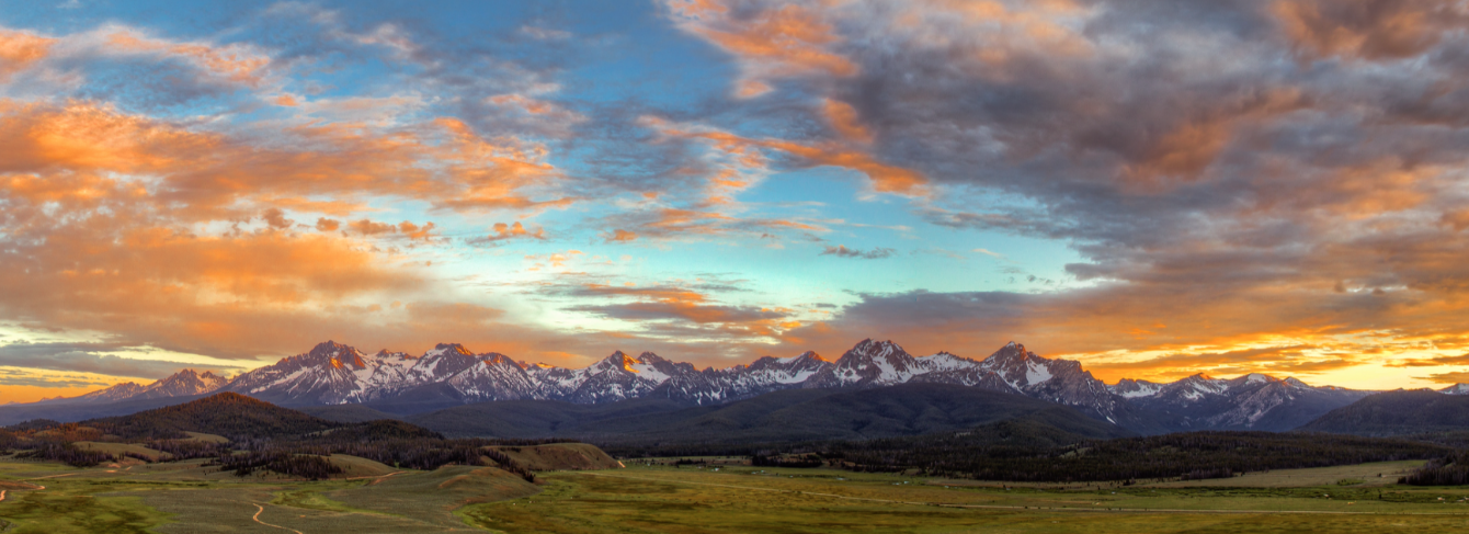 About the  campaign on Bonfire 2