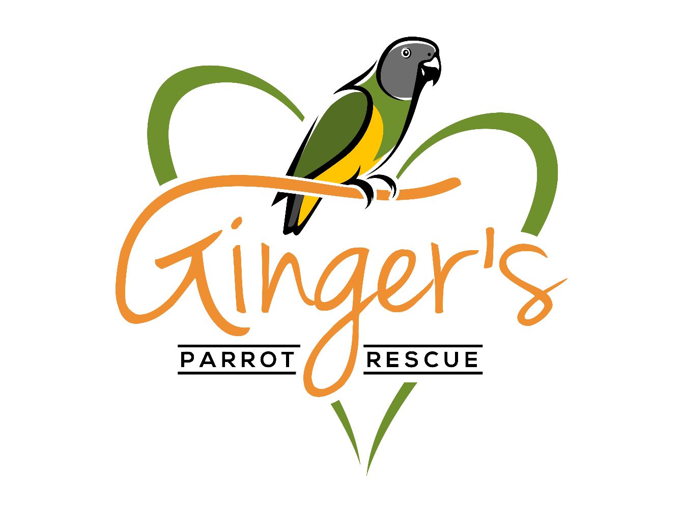 About the  campaign on Bonfire 2