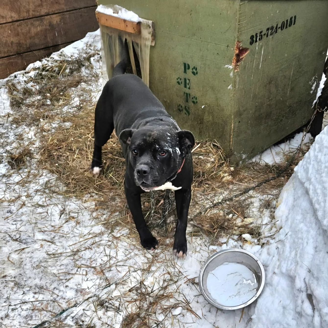 About the If Police Won?t Protect Them, We Will campaign on Bonfire 2