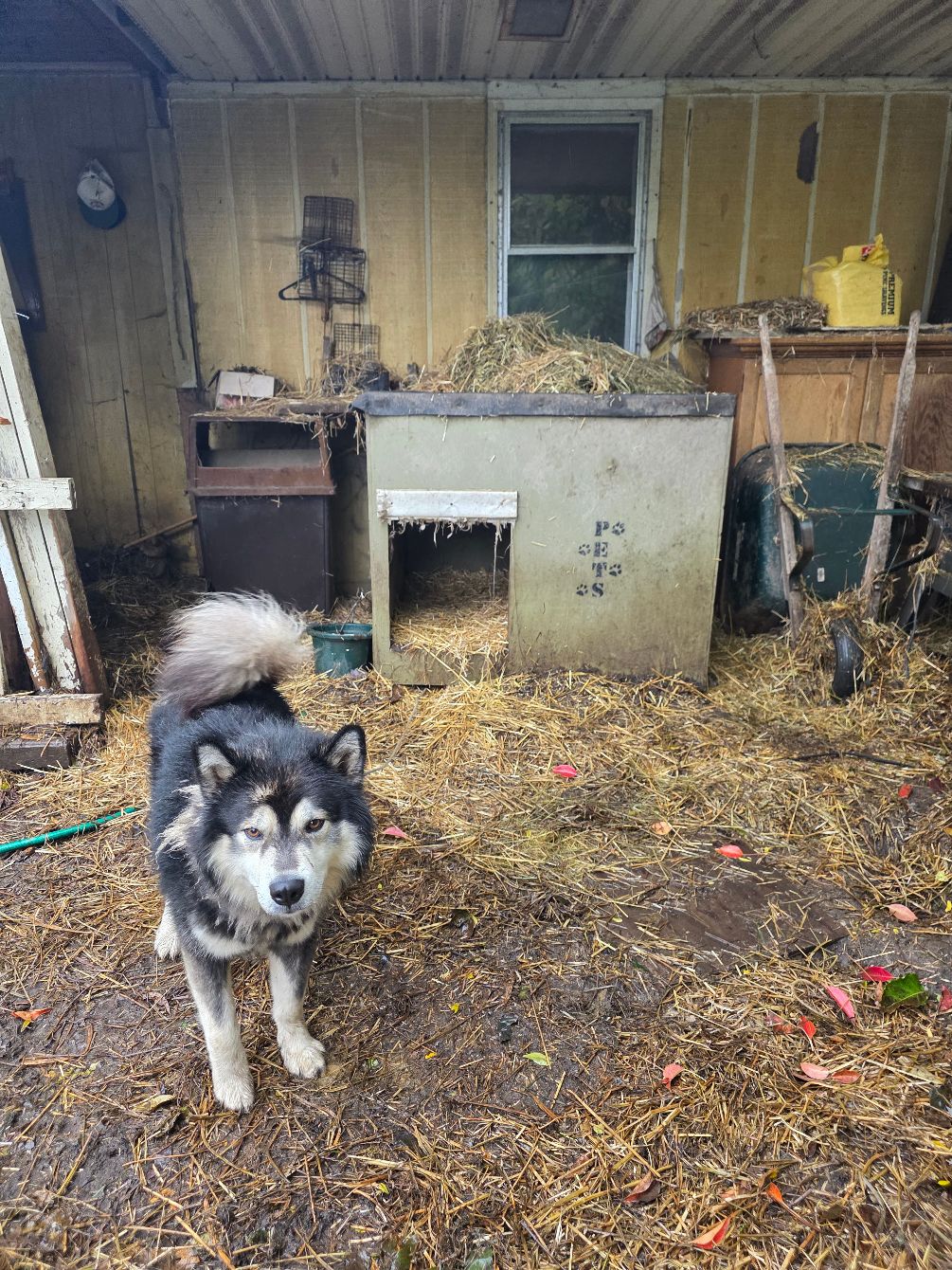 About the If Police Won?t Protect Them, We Will campaign on Bonfire 3