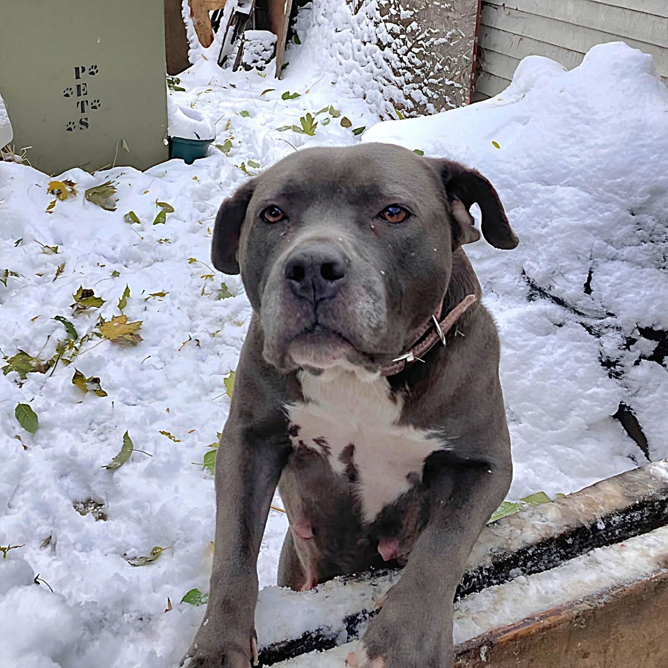 About the If Police Won?t Protect Them, We Will campaign on Bonfire 4