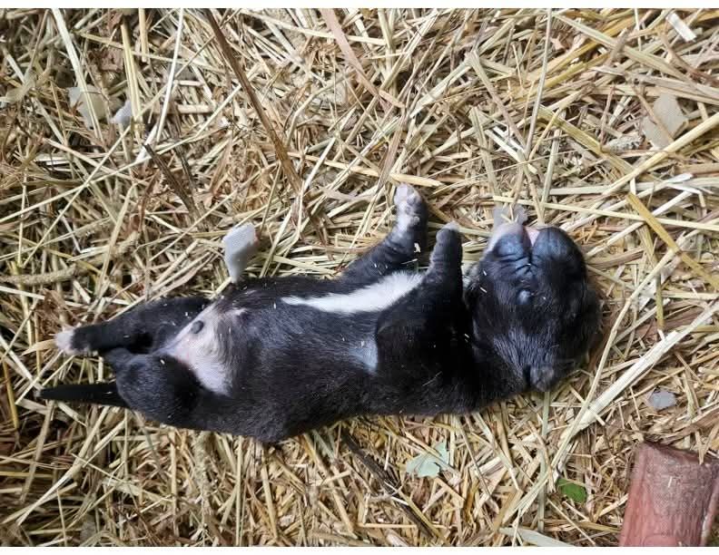 About the If Police Won?t Protect Them, We Will campaign on Bonfire 5