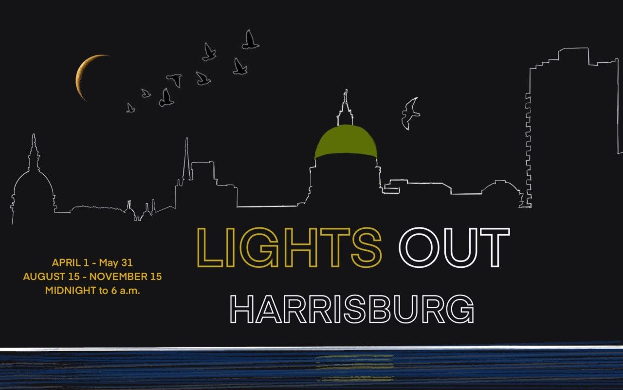About the Lights Out Harrisburg campaign on Bonfire 2