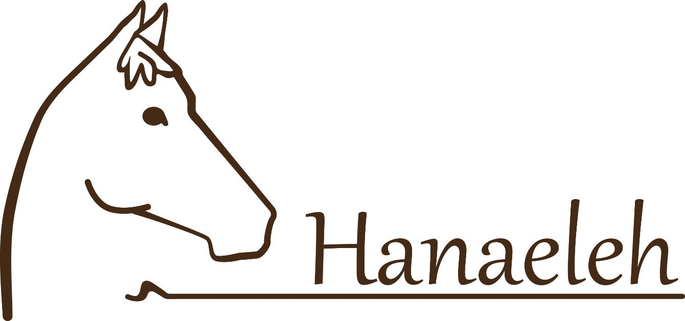 About the Hanaeleh campaign on Bonfire 2