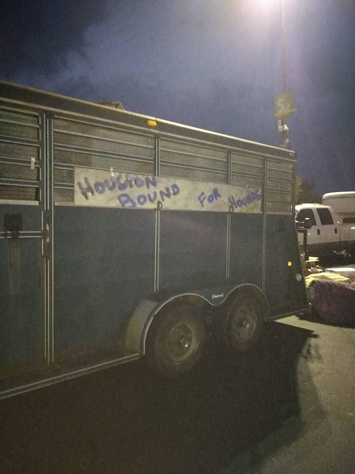 About the The PAWkinglot Pals campaign on Bonfire 12