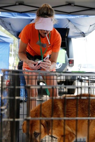 About the The PAWkinglot Pals campaign on Bonfire 8