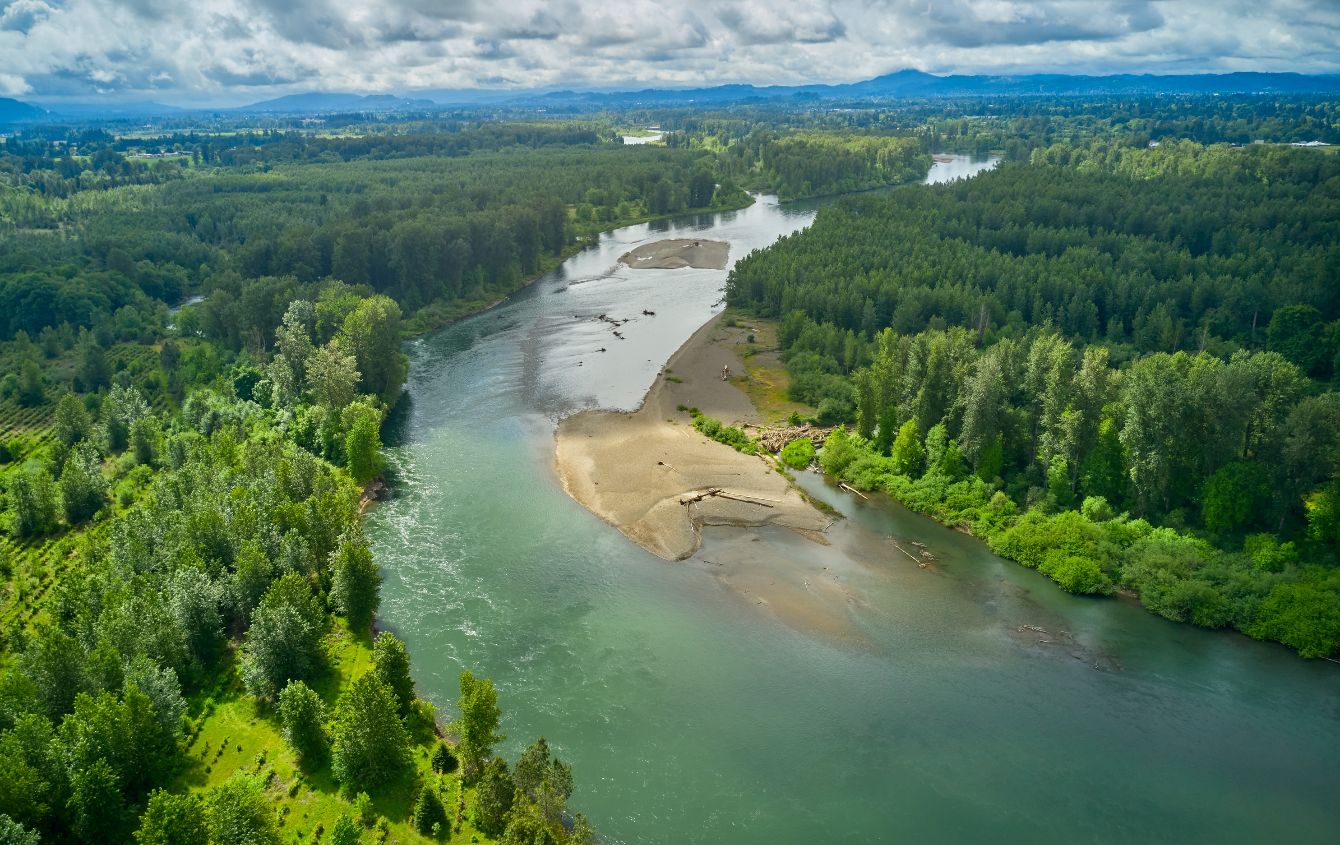 About the Classic Pullover Beaver Hoodie campaign on Bonfire 2