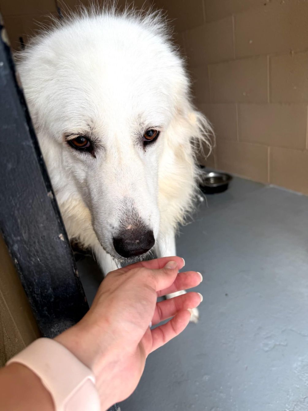 About the 2025 Annual X-mas T! campaign on Bonfire 4