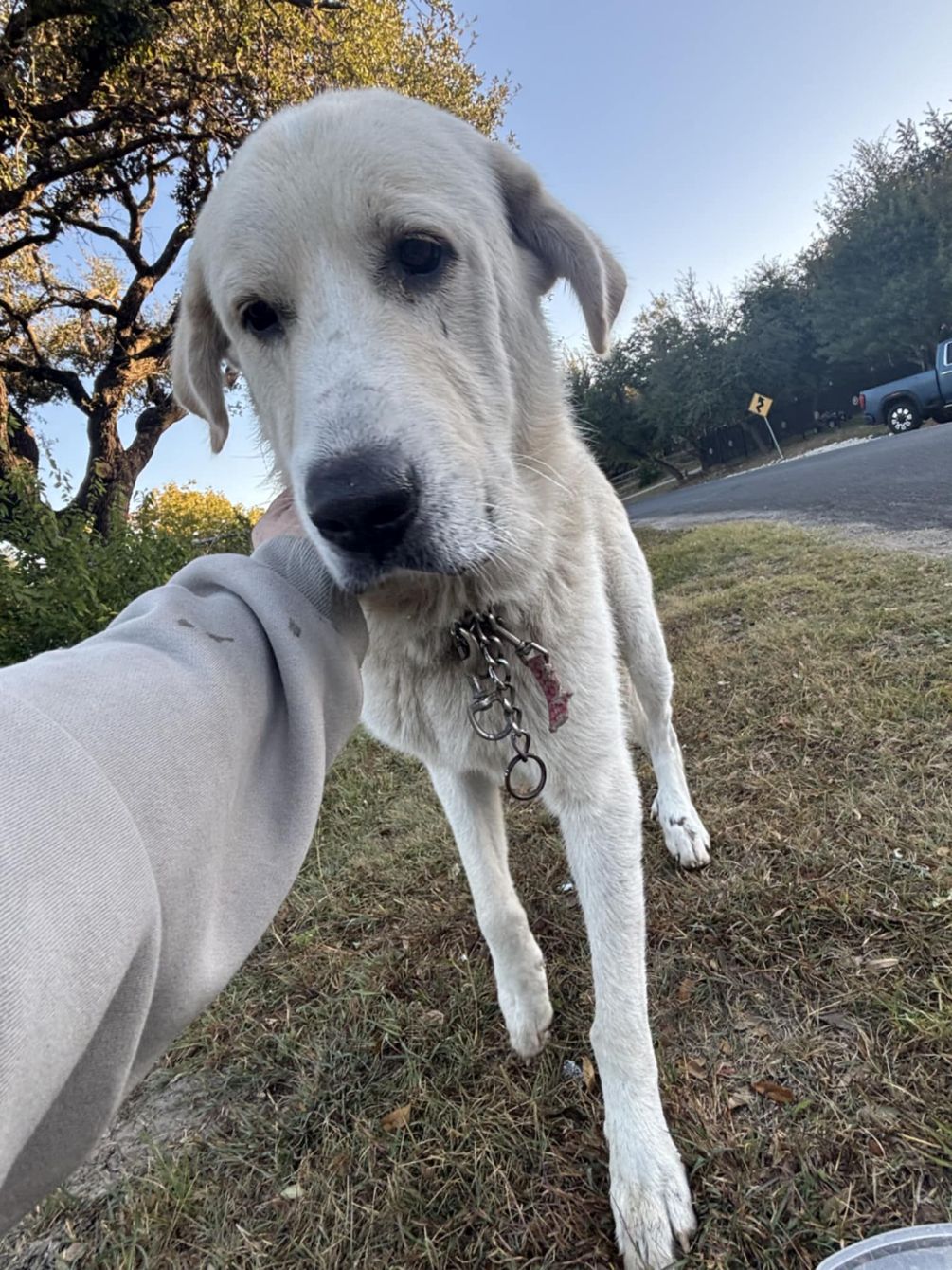 About the 2025 Annual X-mas T! campaign on Bonfire 3