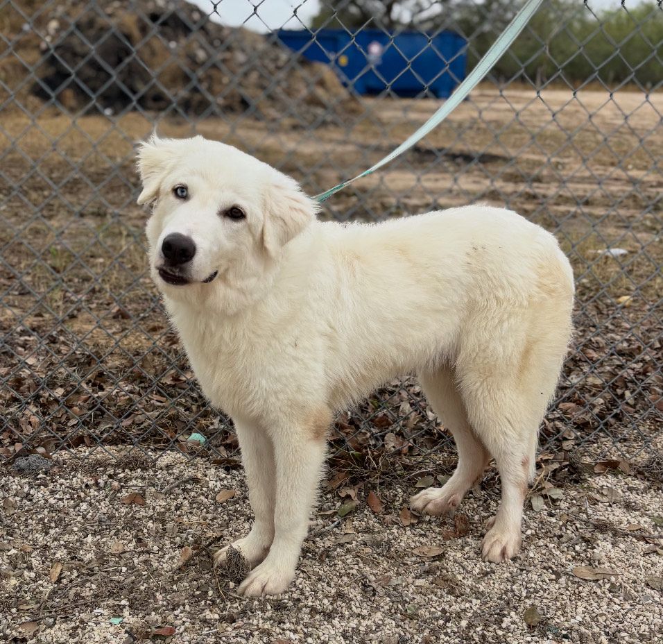 About the 2025 Annual X-mas T! campaign on Bonfire 5