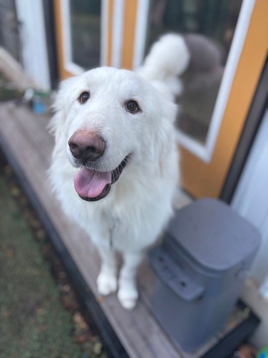 About the 2025 Annual X-mas T! campaign on Bonfire 2