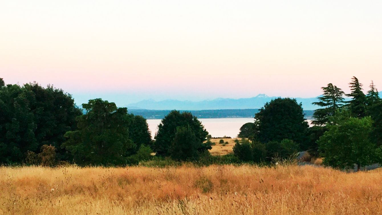 About the Friends of Discovery Park campaign on Bonfire 2