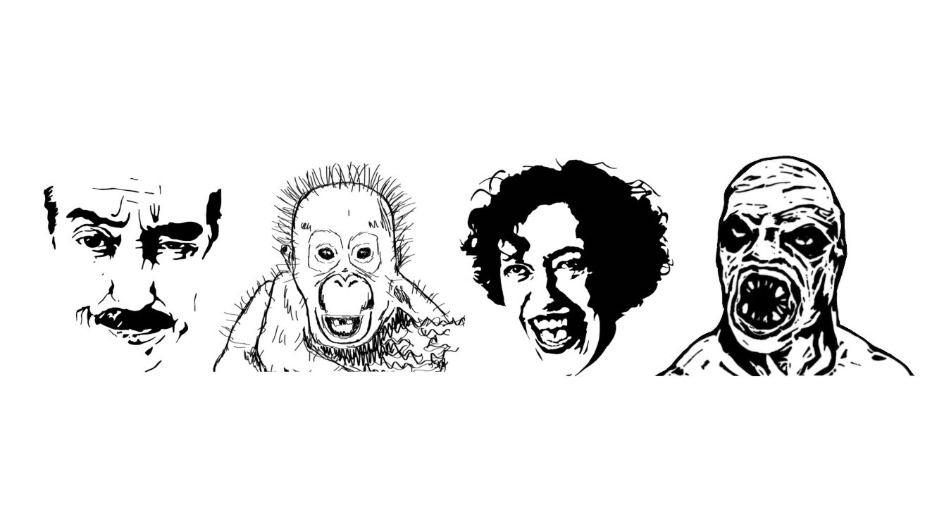 About the  campaign on Bonfire 1