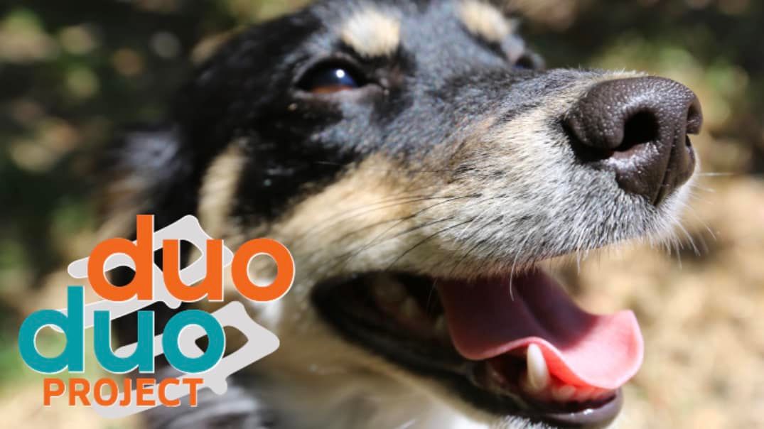 About the Our Mascot, Duo Duo: Ringer Tee! (light) campaign on Bonfire 2