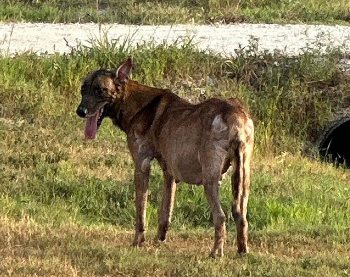 About the Just A Little Bit MAD campaign on Bonfire 0