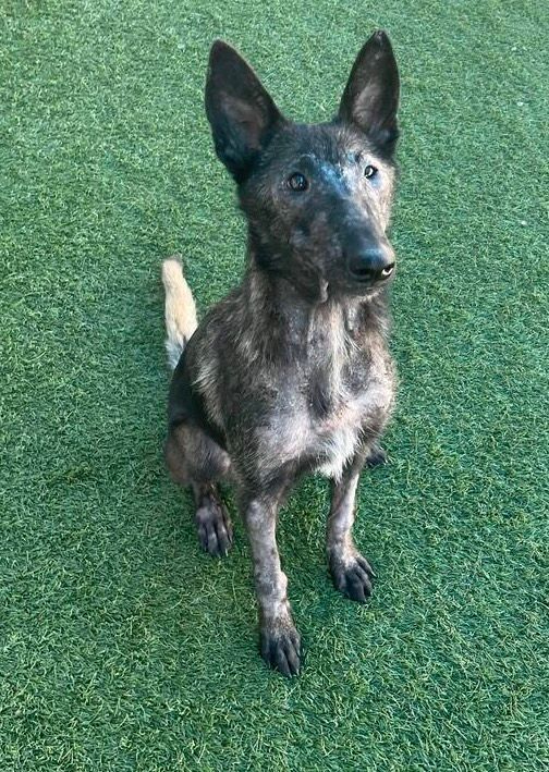 About the Just A Little Bit MAD campaign on Bonfire 2