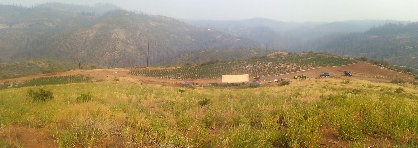 About the Support Local Farmers campaign on Bonfire 2