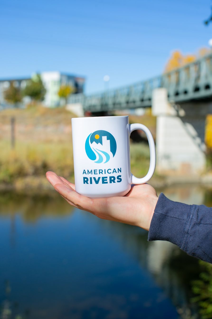 About the American Rivers: Globe at MICA Mug campaign on Bonfire 3